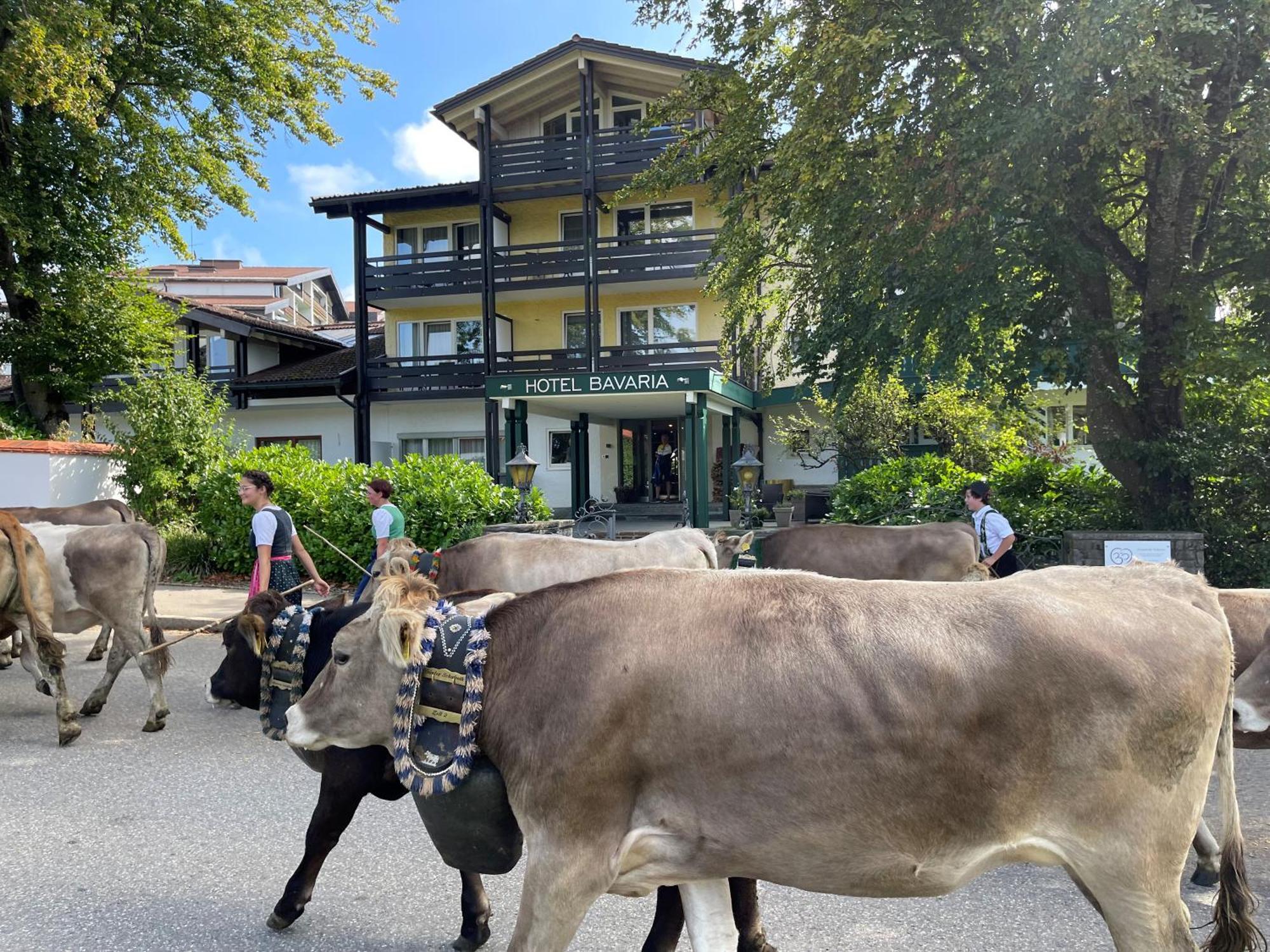 Hotel Bavaria - Partnerbetrieb Von Oberstaufen Plus Exterior photo